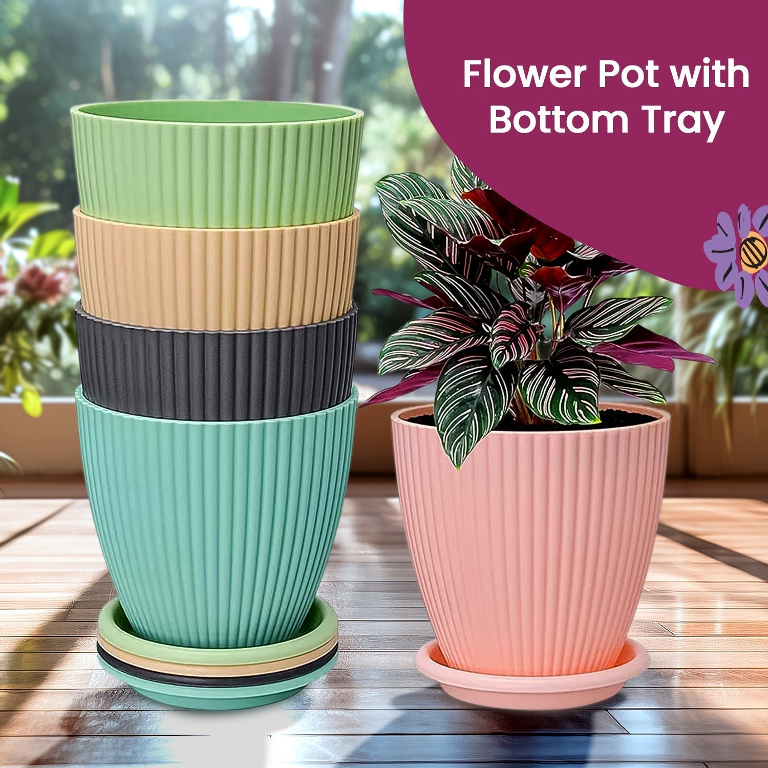 Plastic Flower Pot with Bottom Tray (5 Pcs Set / With Color Box)