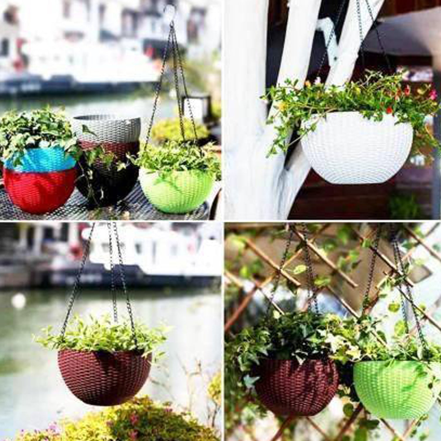 Plastic Hanging Flower Pot and Flower Pot with Chain (6 Pc)