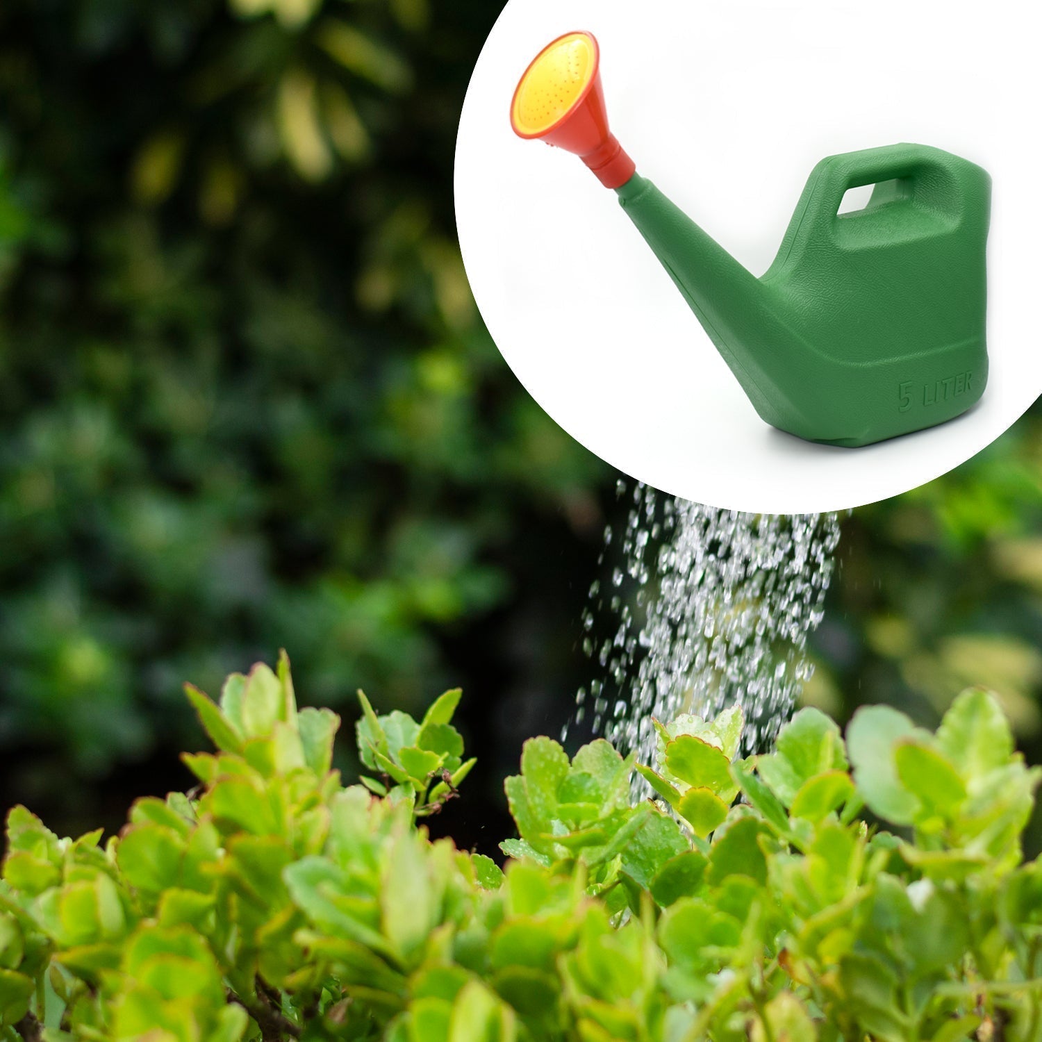 Plastic Watering Can Water Sprayer Sprinkler for Plants Indoor Outdoor Gardening, 5 LTR