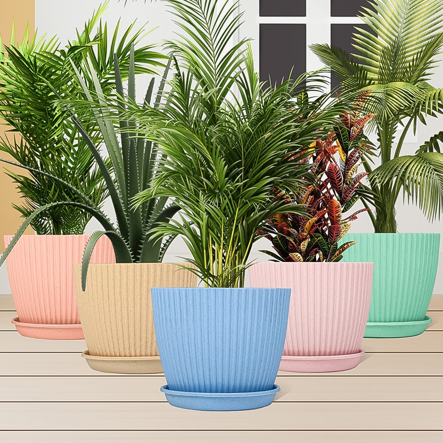 Plastic Flower Pot with Bottom Tray (5 Pcs Set / With Color Box)