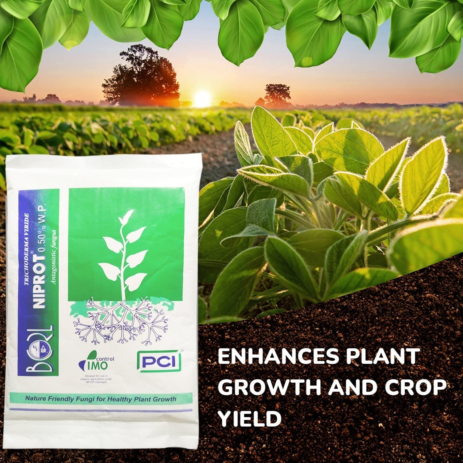 Organic Bio Fungicide for Seeds and Young Plants (1 Kg)