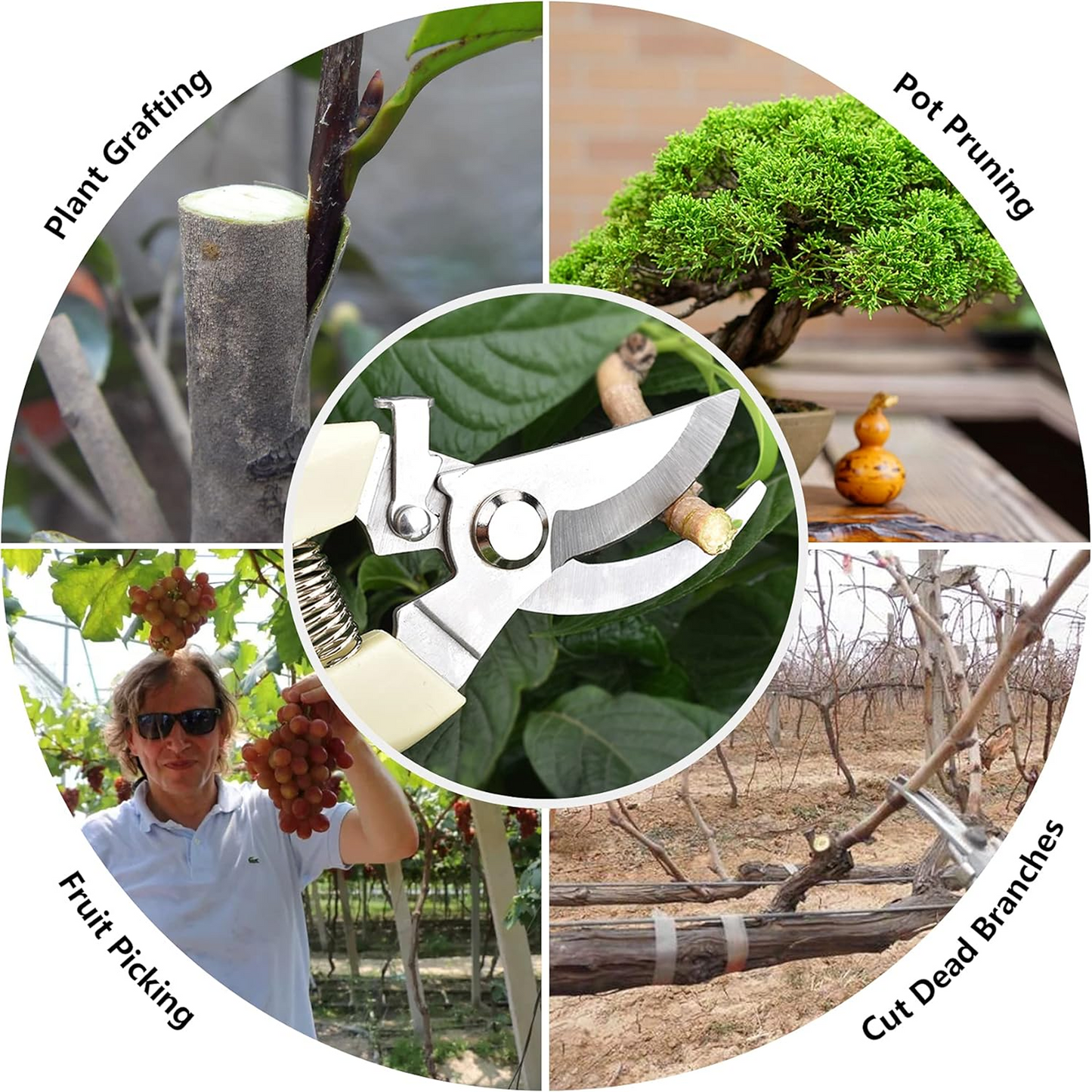 Stainless Steel Garden Scissors, flower cutter