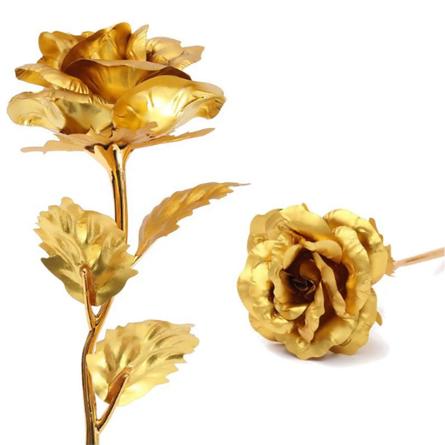 B Golden Rose is perfect for decorating homes, offices, cafes