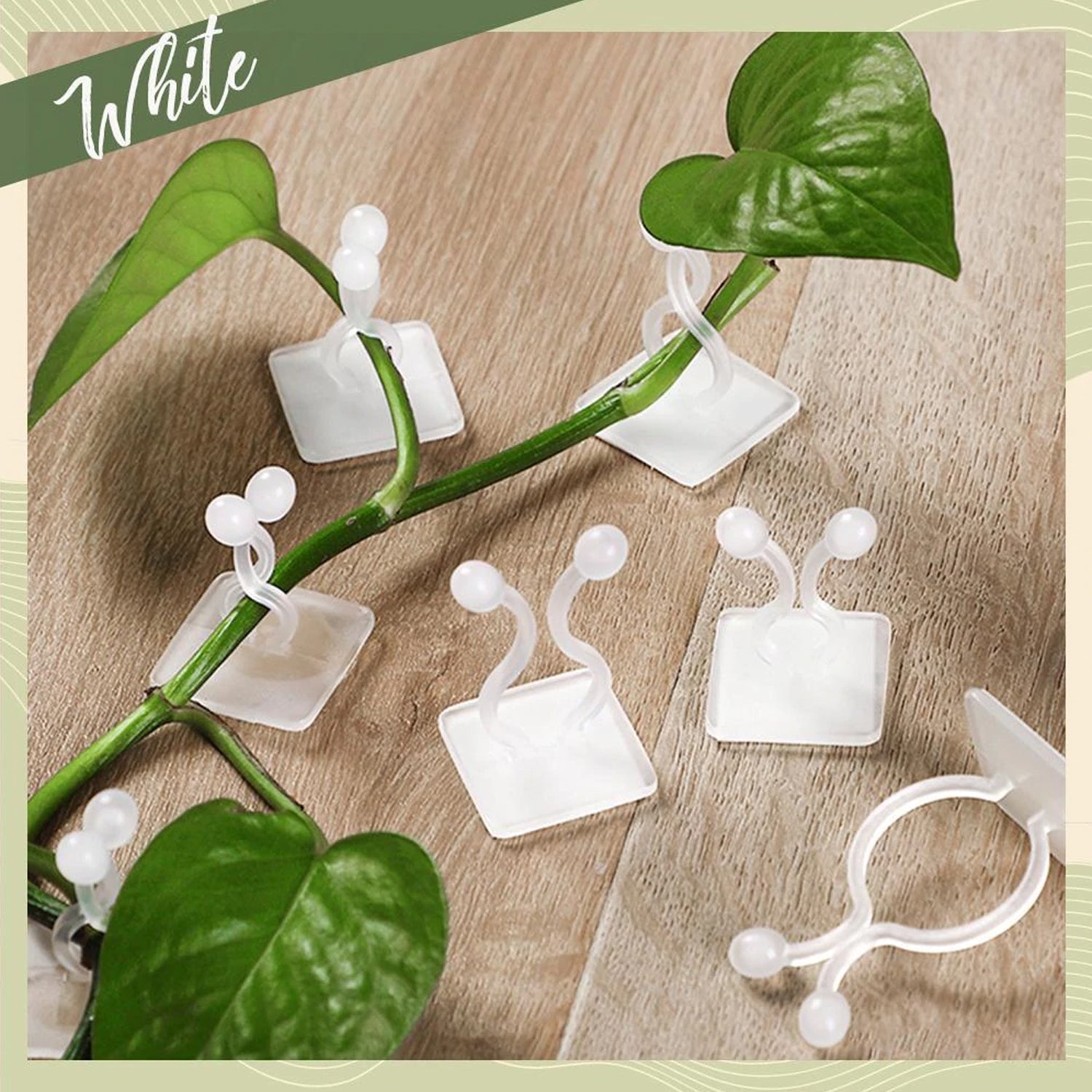 wall Plant Climbing Clip widely used for holding plants and poultry purposes and all (30 Pcs Set)