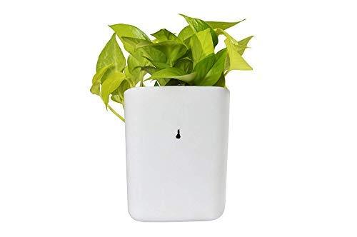 Plastic Vertical Hanging Planter Pot, Multicolour,