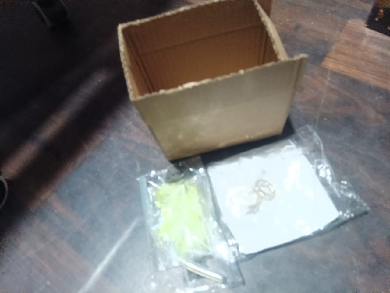 Tulip LED Decorative Night Lamp