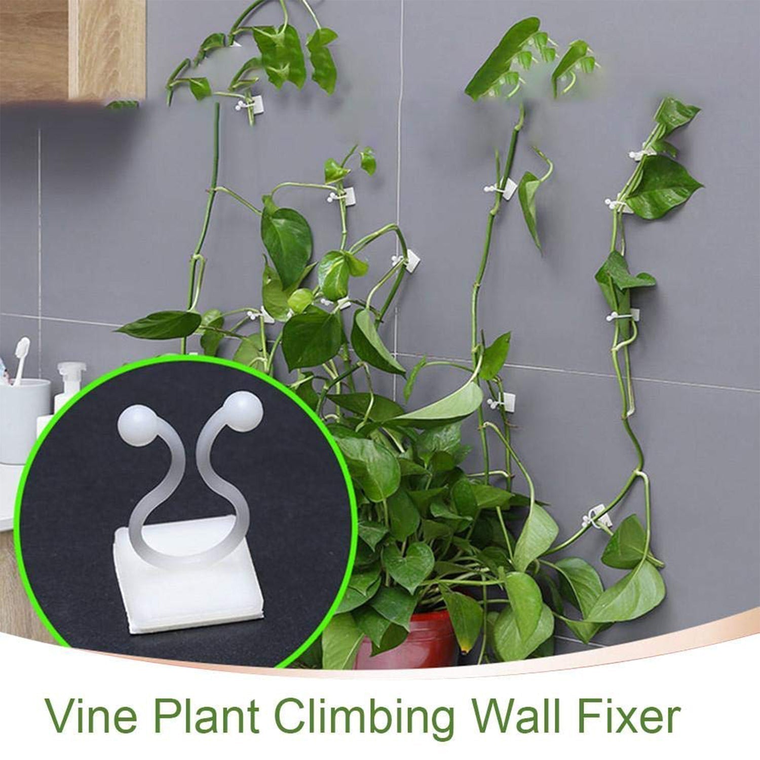 wall Plant Climbing Clip widely used for holding plants and poultry purposes and all (30 Pcs Set)