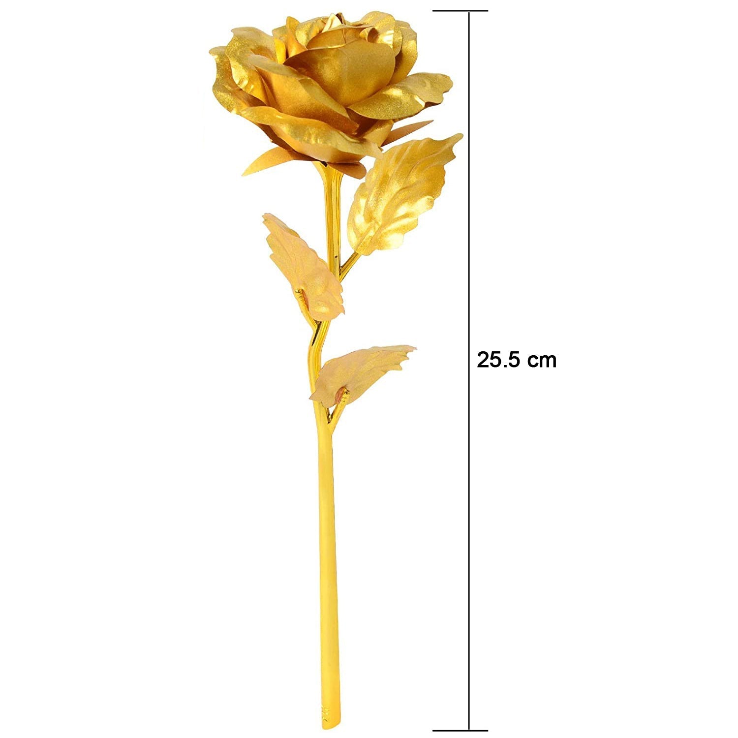 B Golden Rose is perfect for decorating homes, offices, cafes