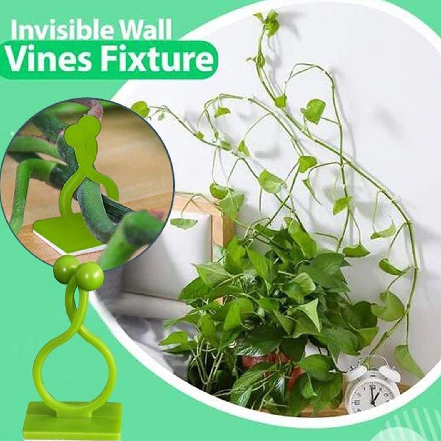 30pcs wall Plant Climbing Clip widely used for holding plants and poultry purposes and all (Box/30 Pcs Set)