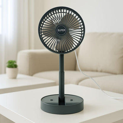 Standing Fan