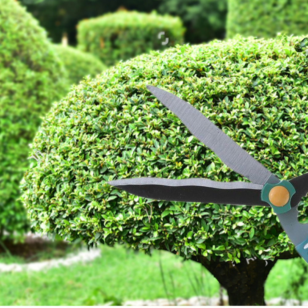 Garden Big Scissor