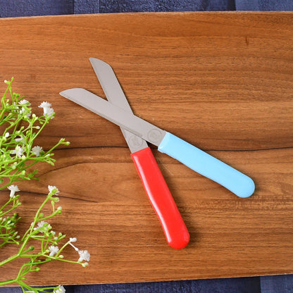 Premium Quality Stainless Steel Handle Plain Knife (10 Pc / 1 Set)